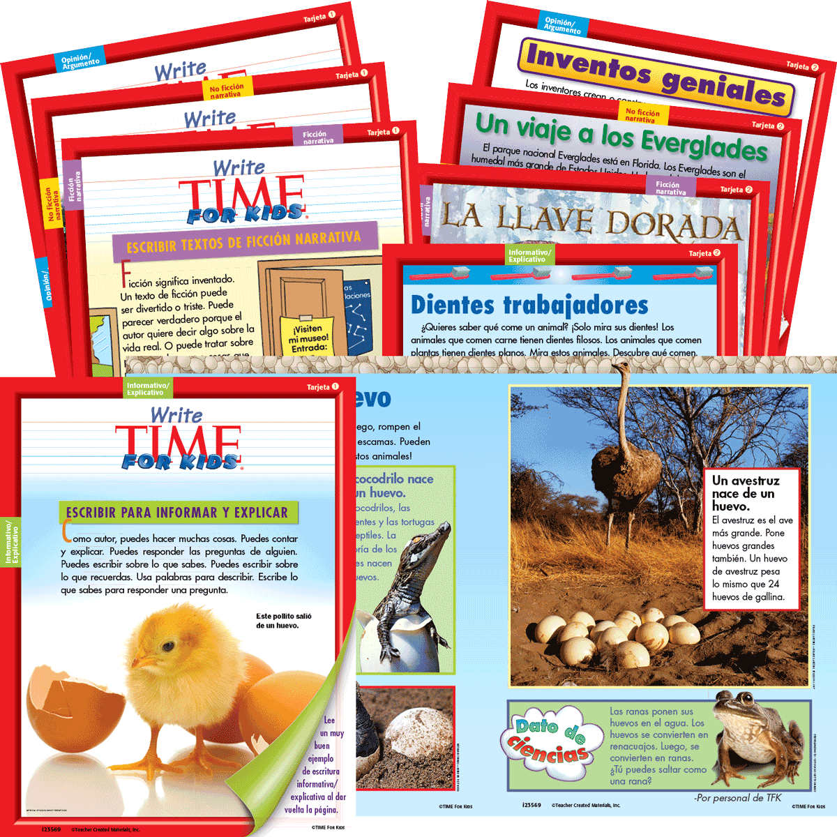 Write TIME for Kids: Mentor Text Card Set: Level 1 (Spanish Version)