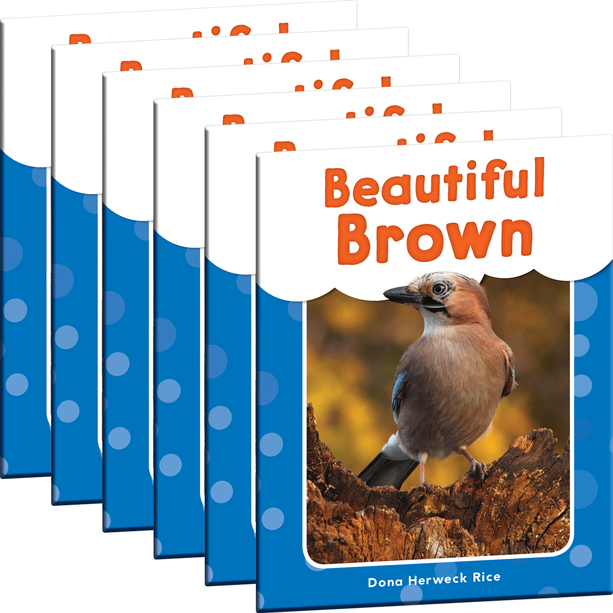 Beautiful Brown 6-Pack