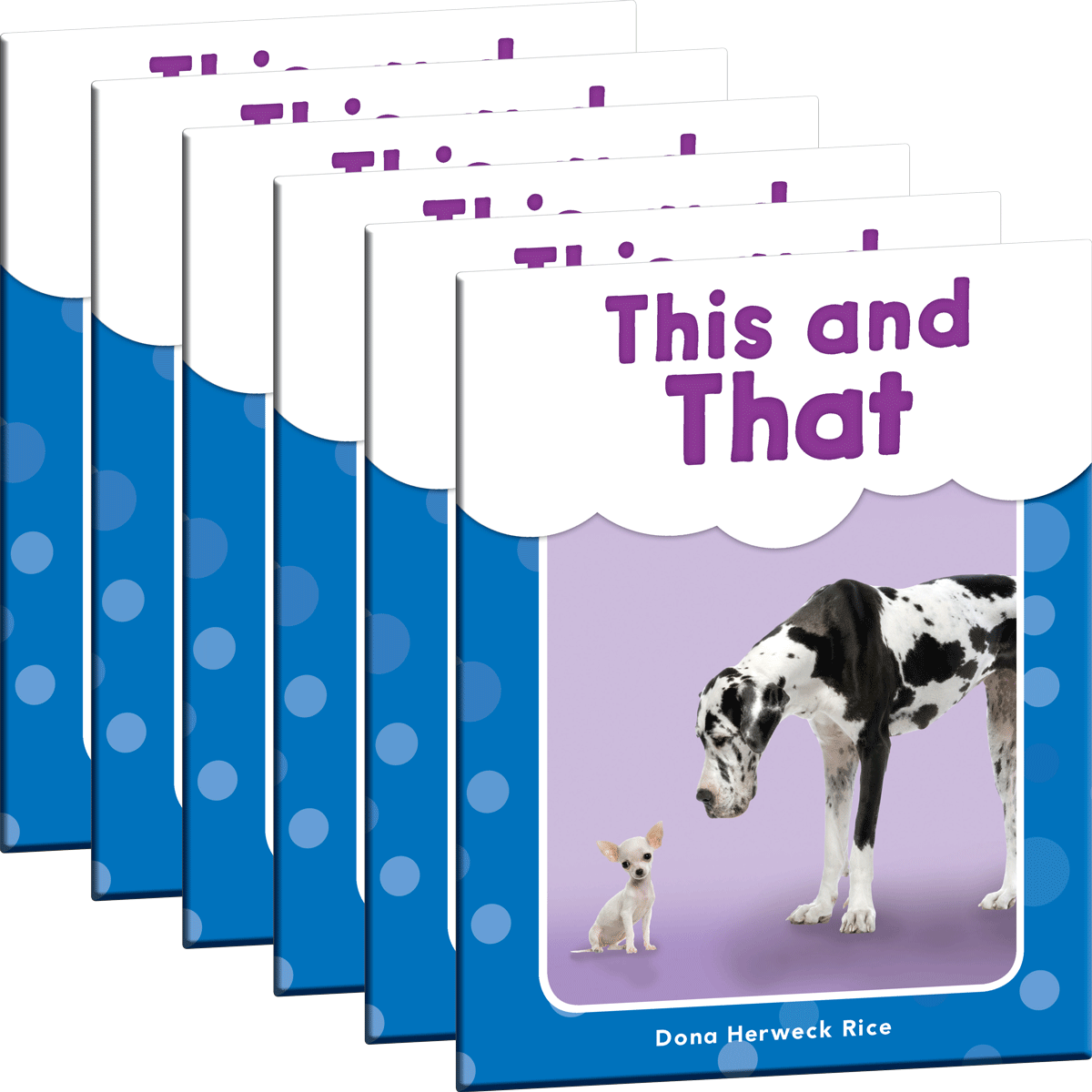 This and That 6-Pack