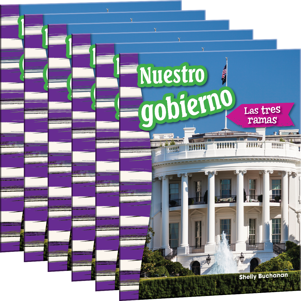 Nuestro gobierno: Las tres ramas 6-Pack for California