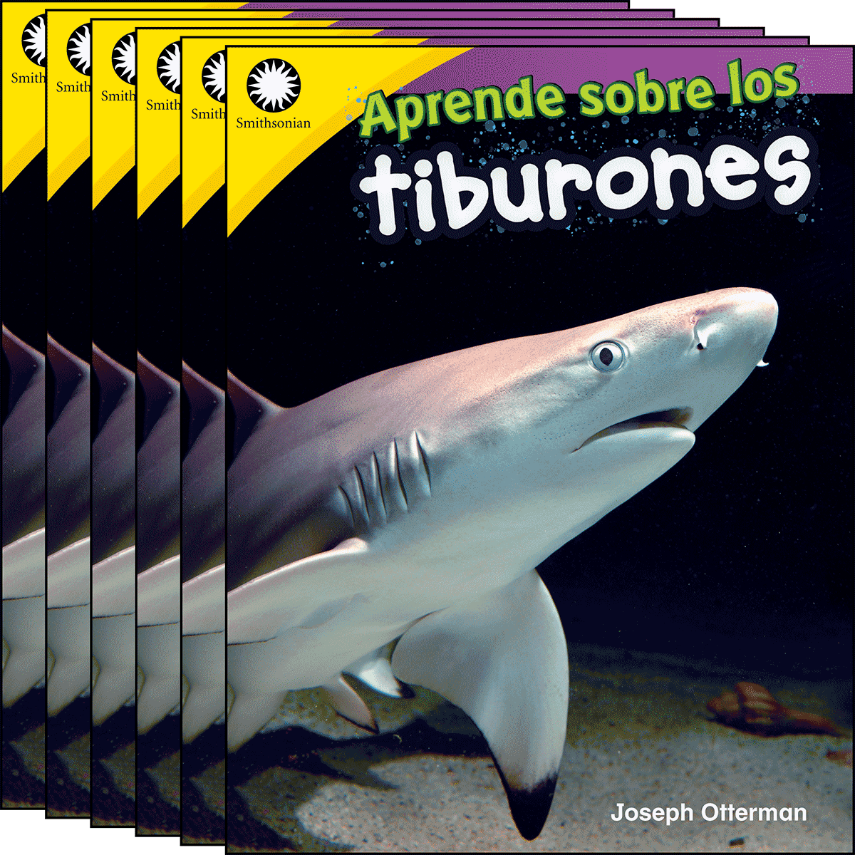 Aprende sobre los tiburones 6-Pack