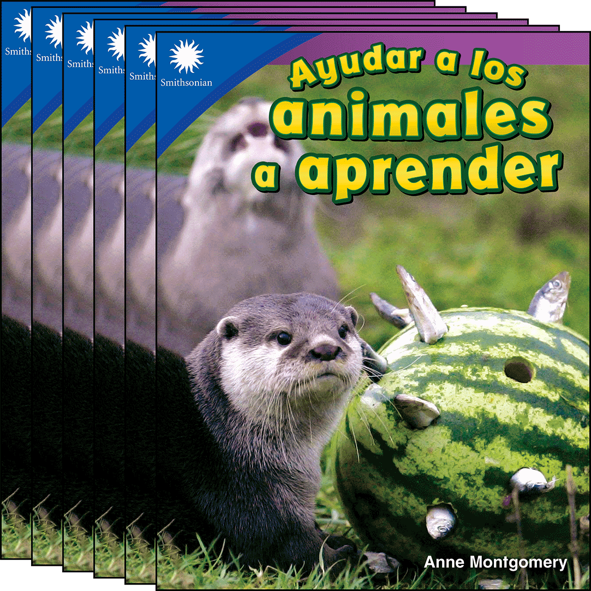 Ayudar a los animales a aprender 6-Pack