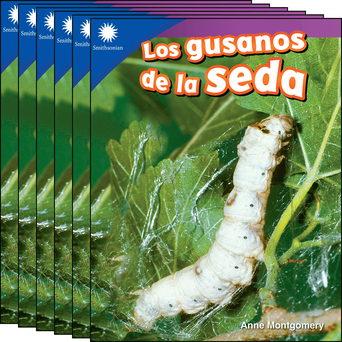 Los gusanos de la seda 6-Pack