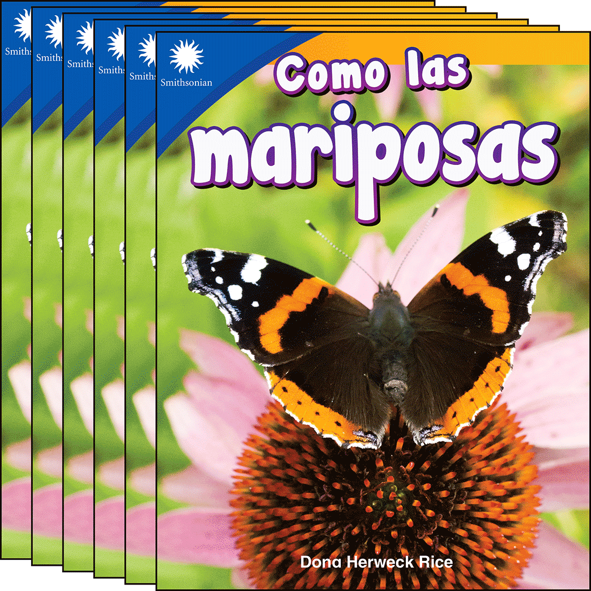 Como las mariposas 6-Pack