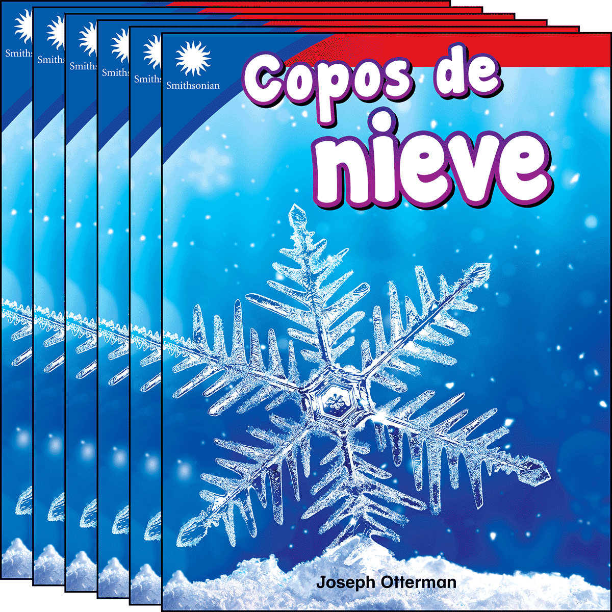 Copos de nieve 6-Pack