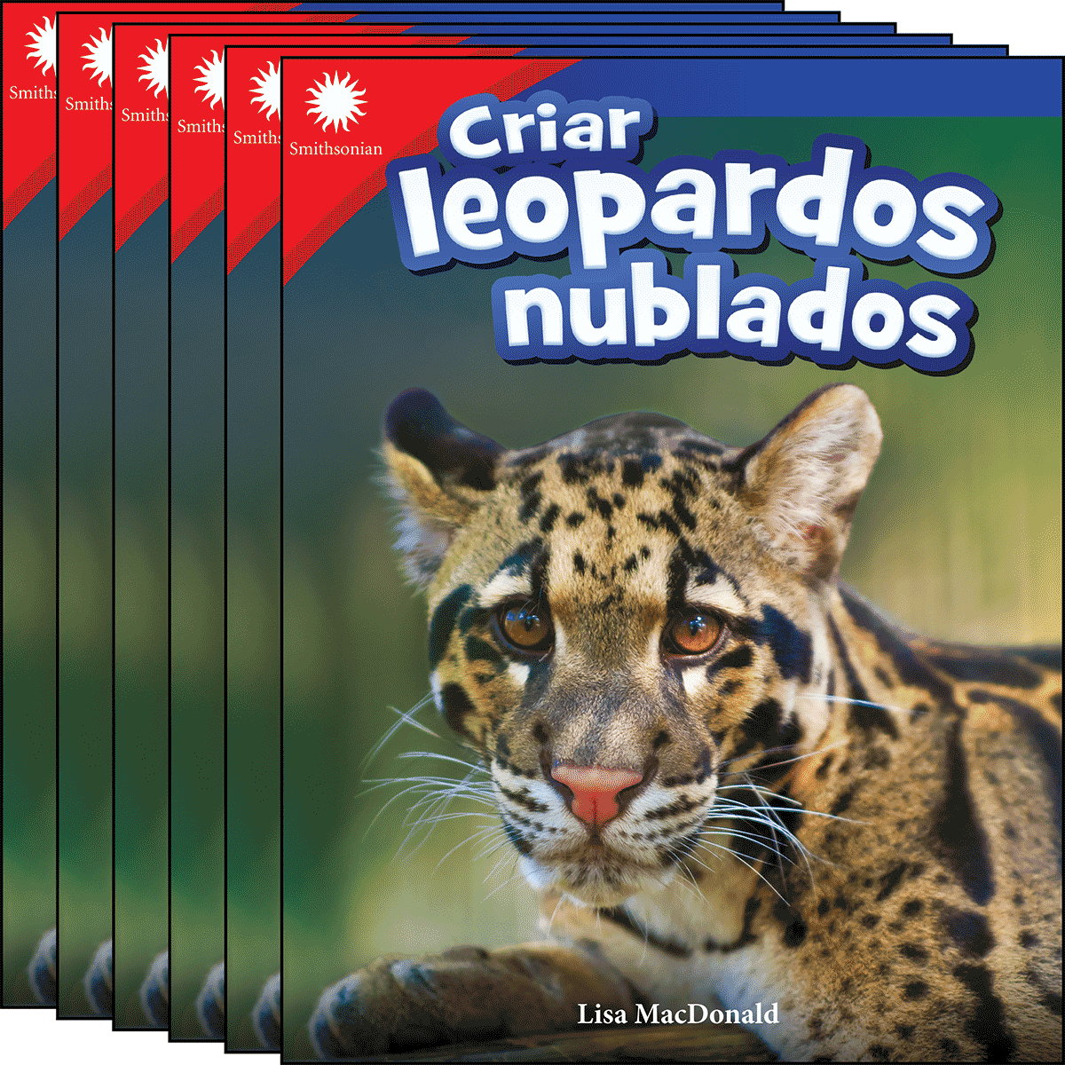 Criar leopardos nublados 6-Pack
