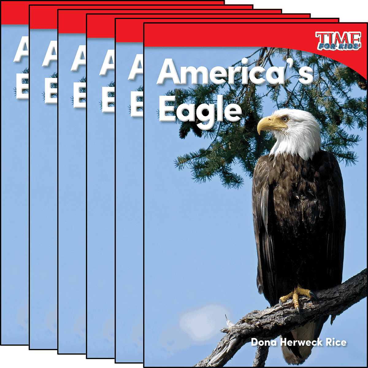 America's Eagle 6-Pack for Georgia