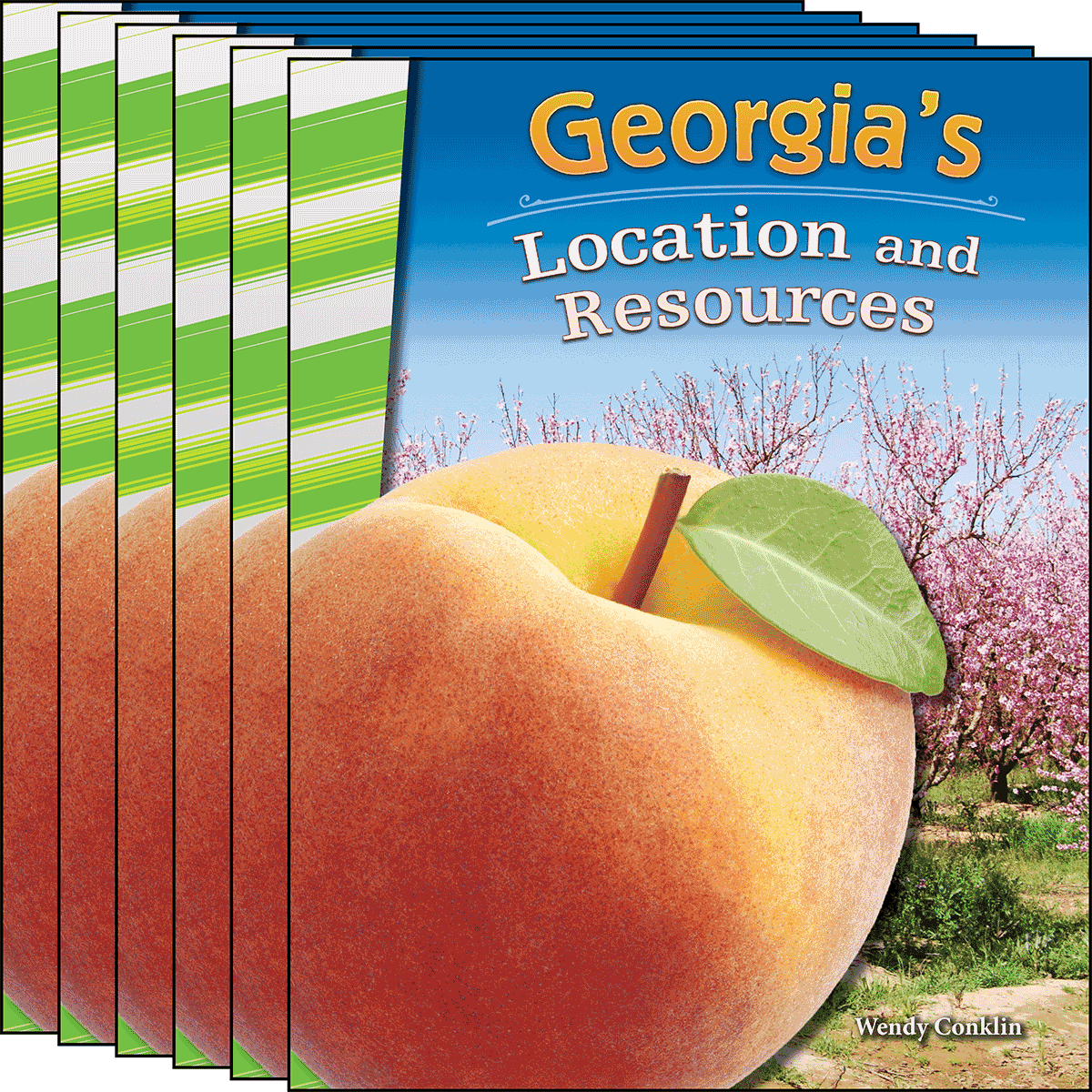Georgia's Location and Resources 6-Pack for Georgia