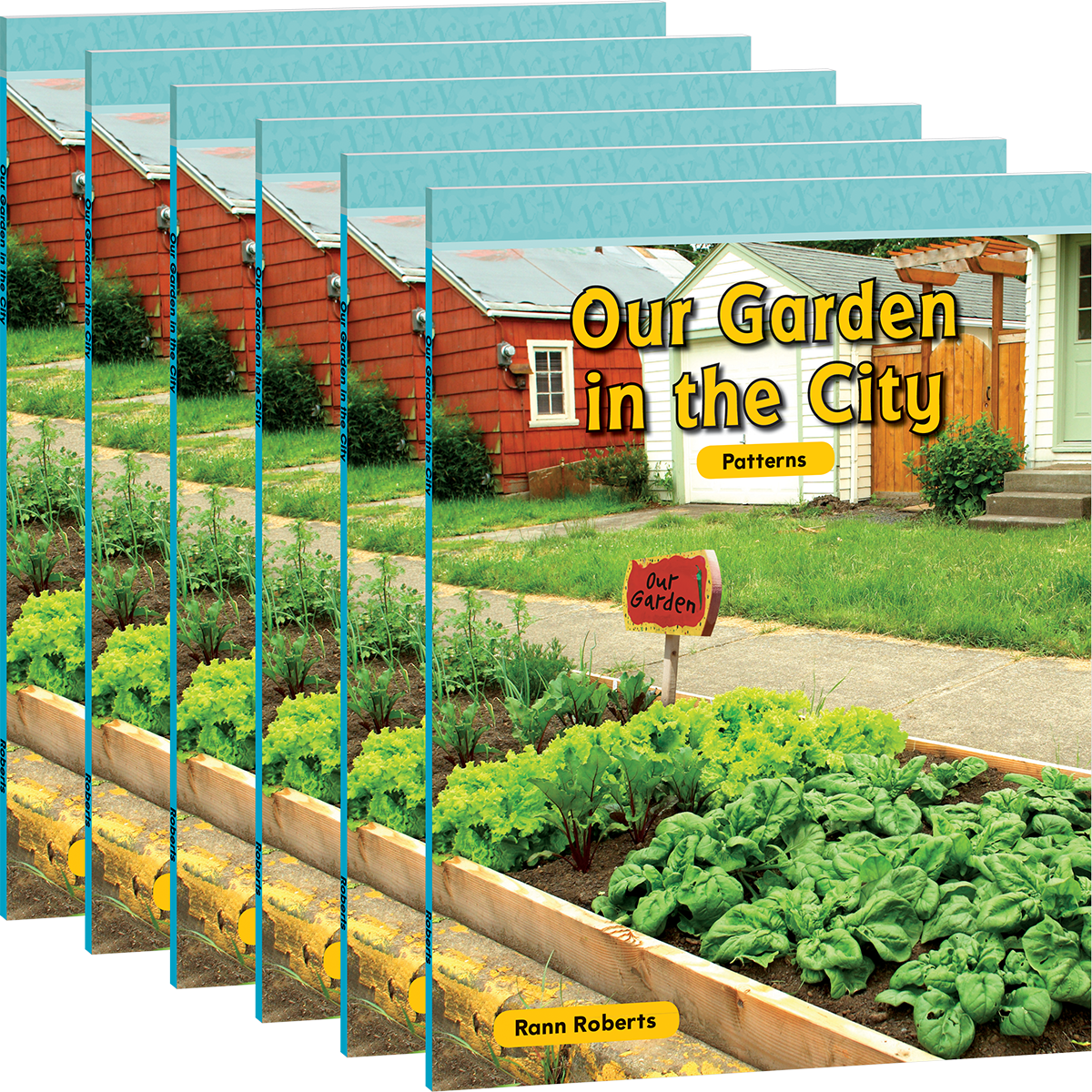 Our Garden in the City 6-Pack