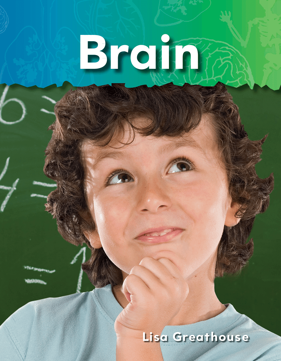 Brain ebook