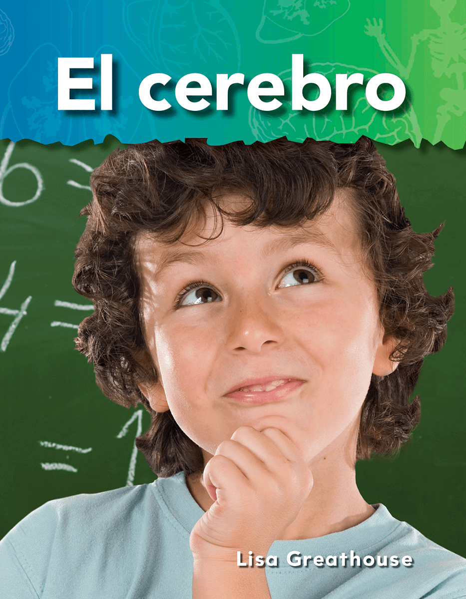 El cerebro ebook