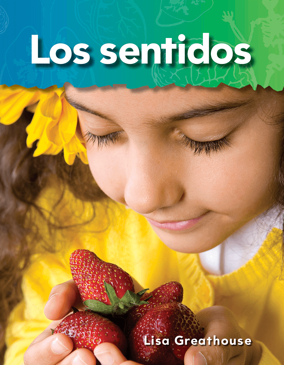 Los sentidos ebook