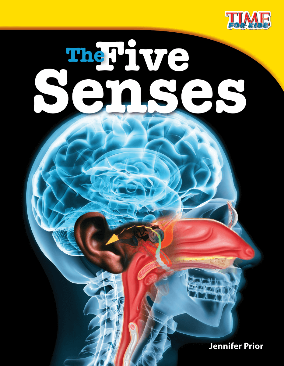 The Five Senses ebook