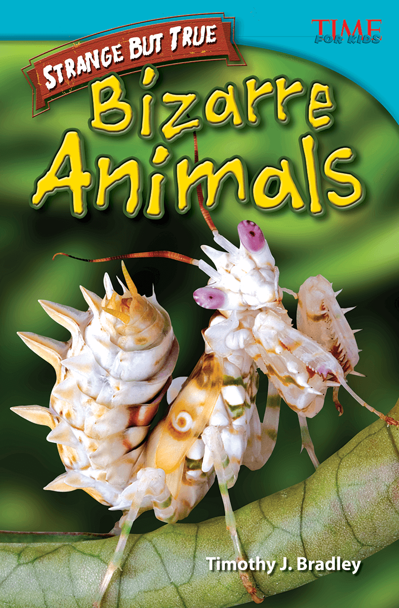Strange but True: Bizarre Animals ebook