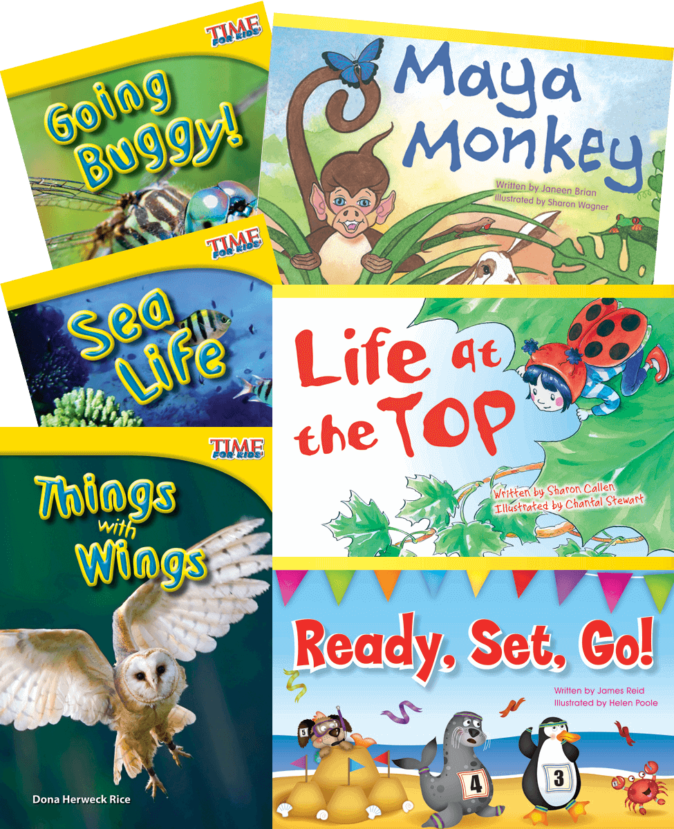 Animal Groups 6-Book Set