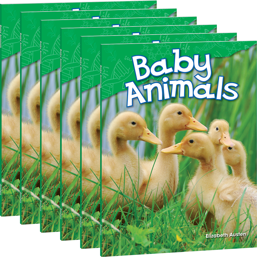 Baby Animals 6-Pack