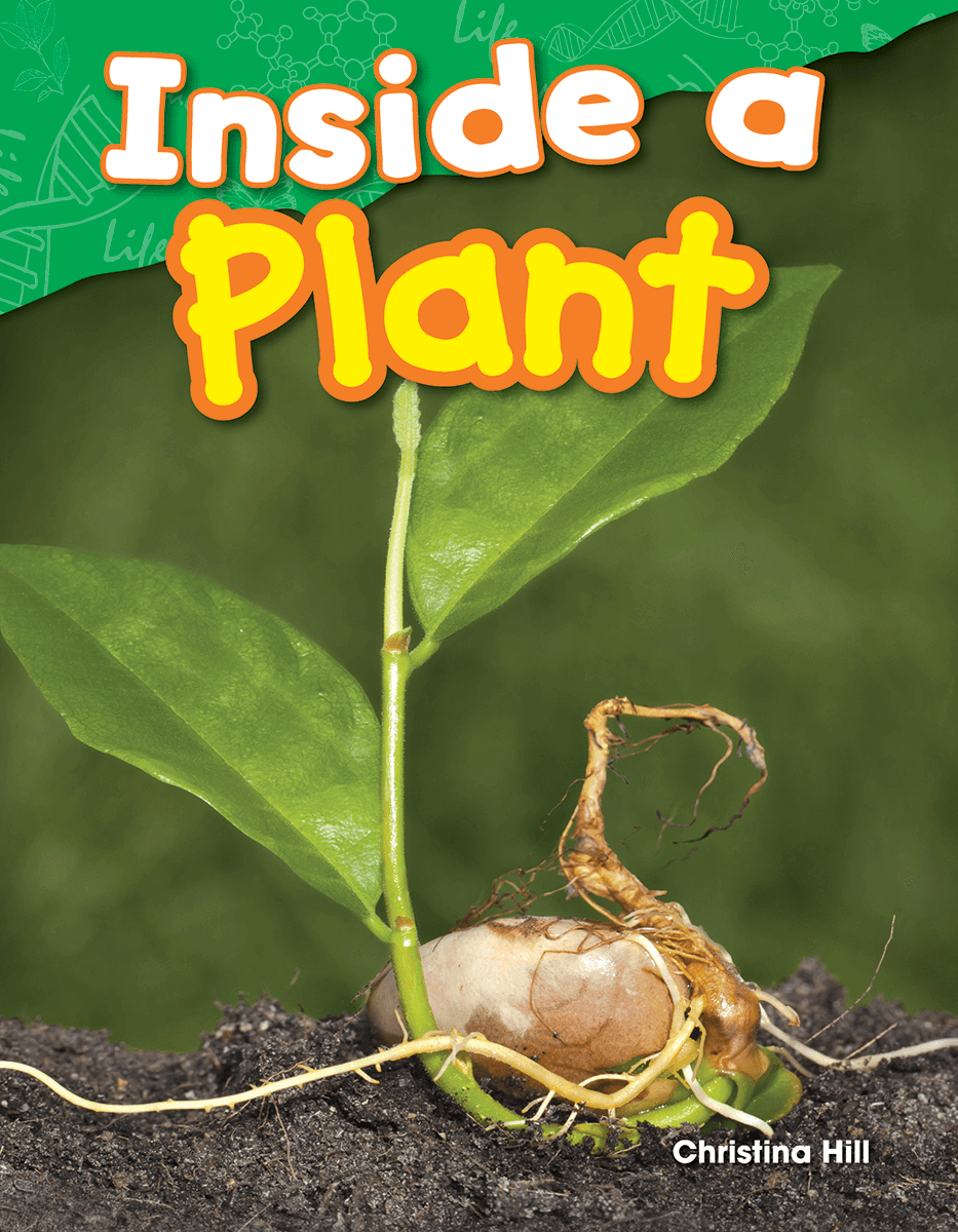 Inside a Plant ebook