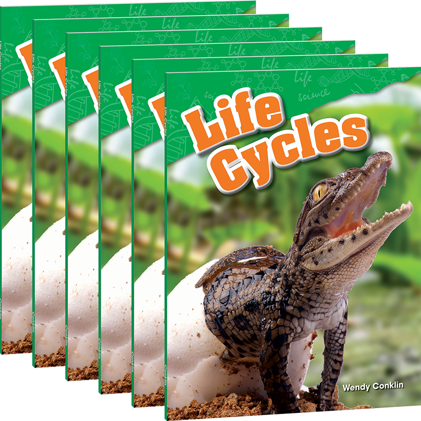 Life Cycles 6-Pack