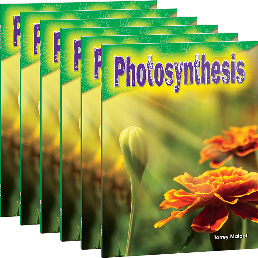 Photosynthesis 6-Pack