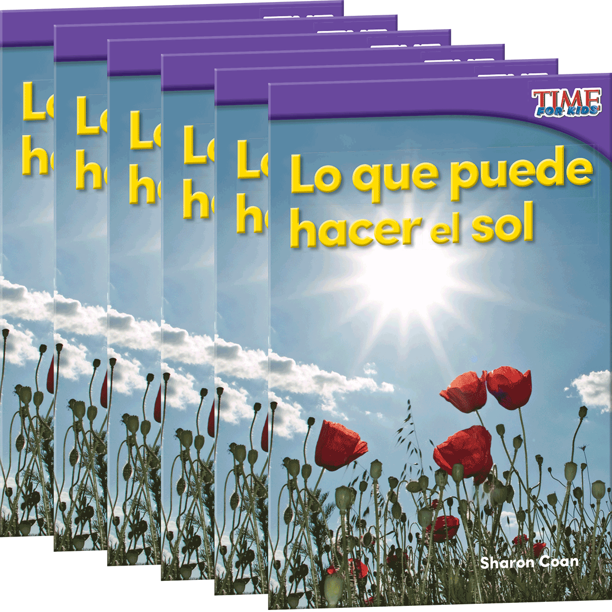 Lo que puede hacer el sol 6-Pack