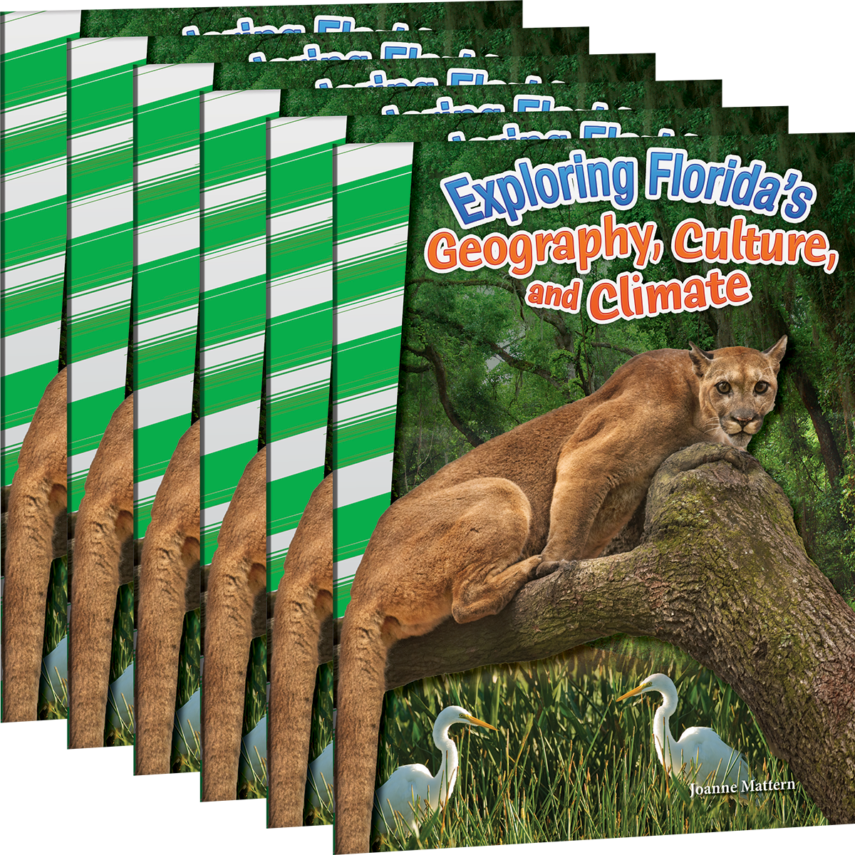Exploring Florida's Geography, Culture, and Climate 6-Pack