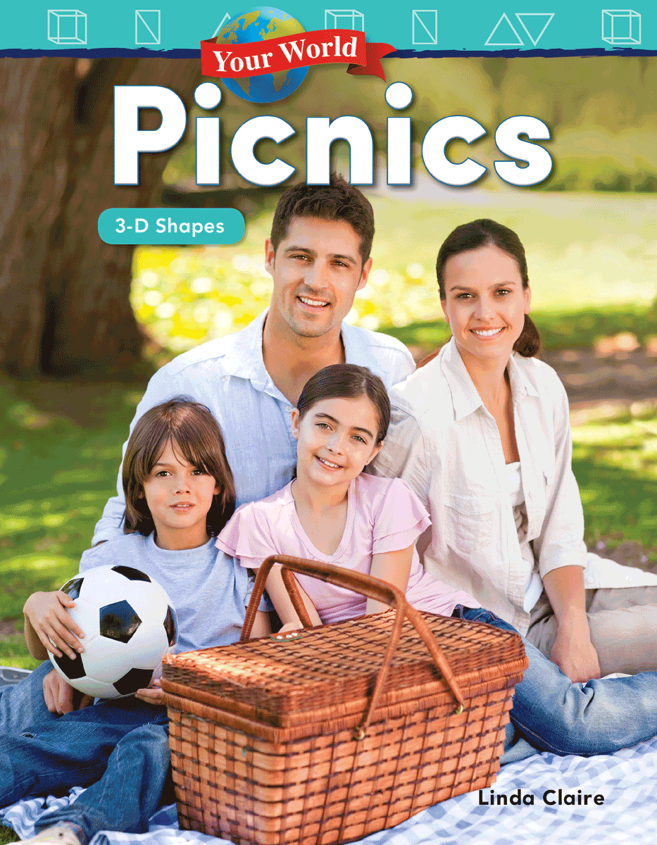 Your World: Picnics: 3-D Shapes ebook