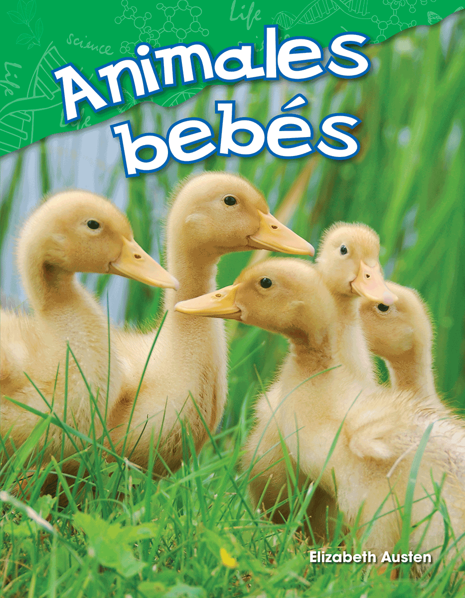 Animales bebés ebook