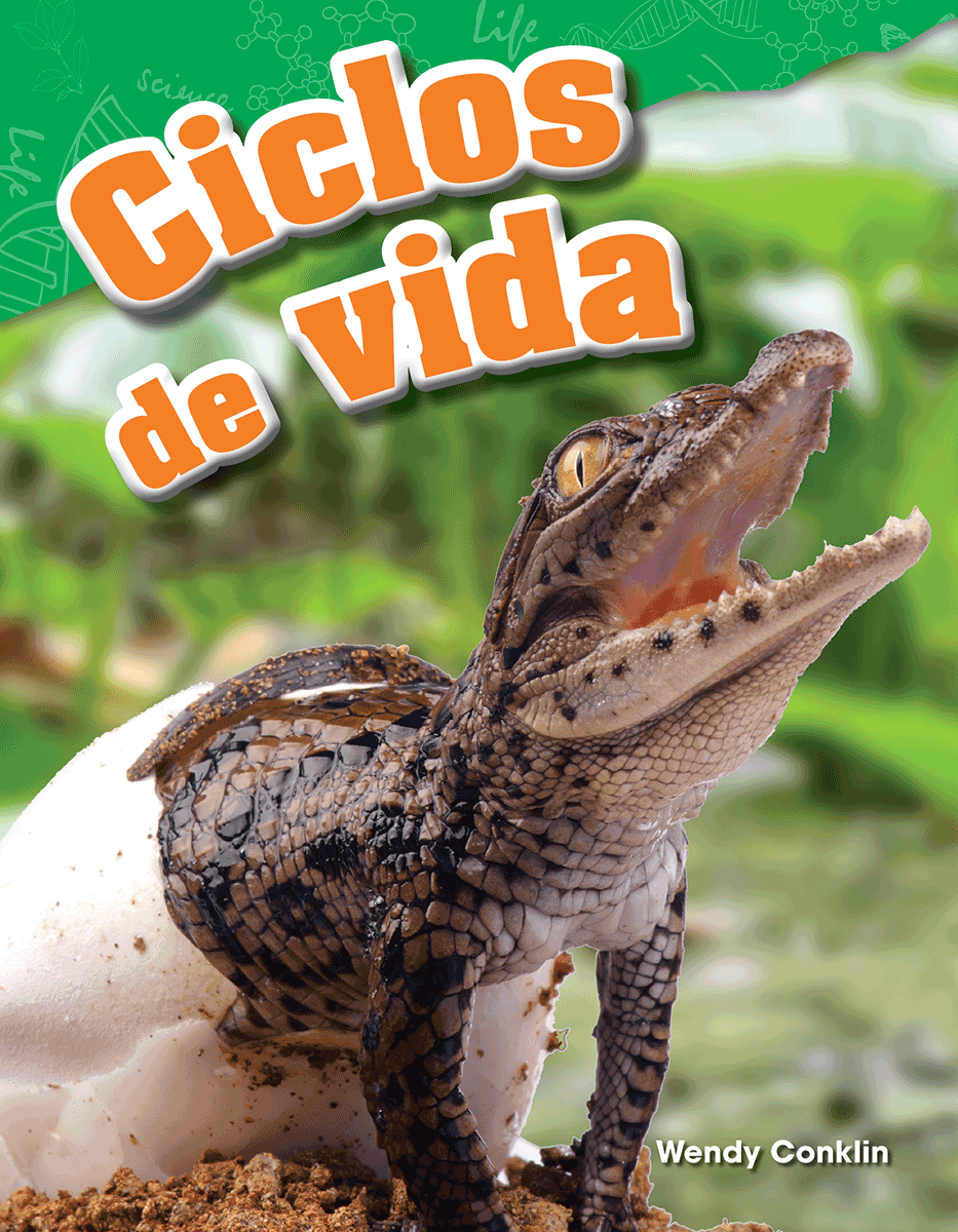 Ciclos de vida ebook
