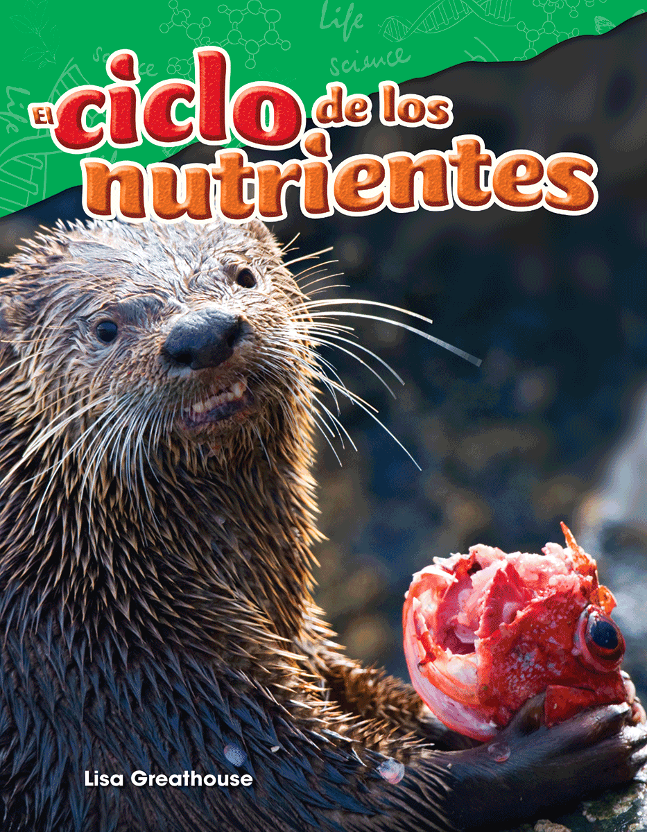 El ciclo de los nutrientes ebook