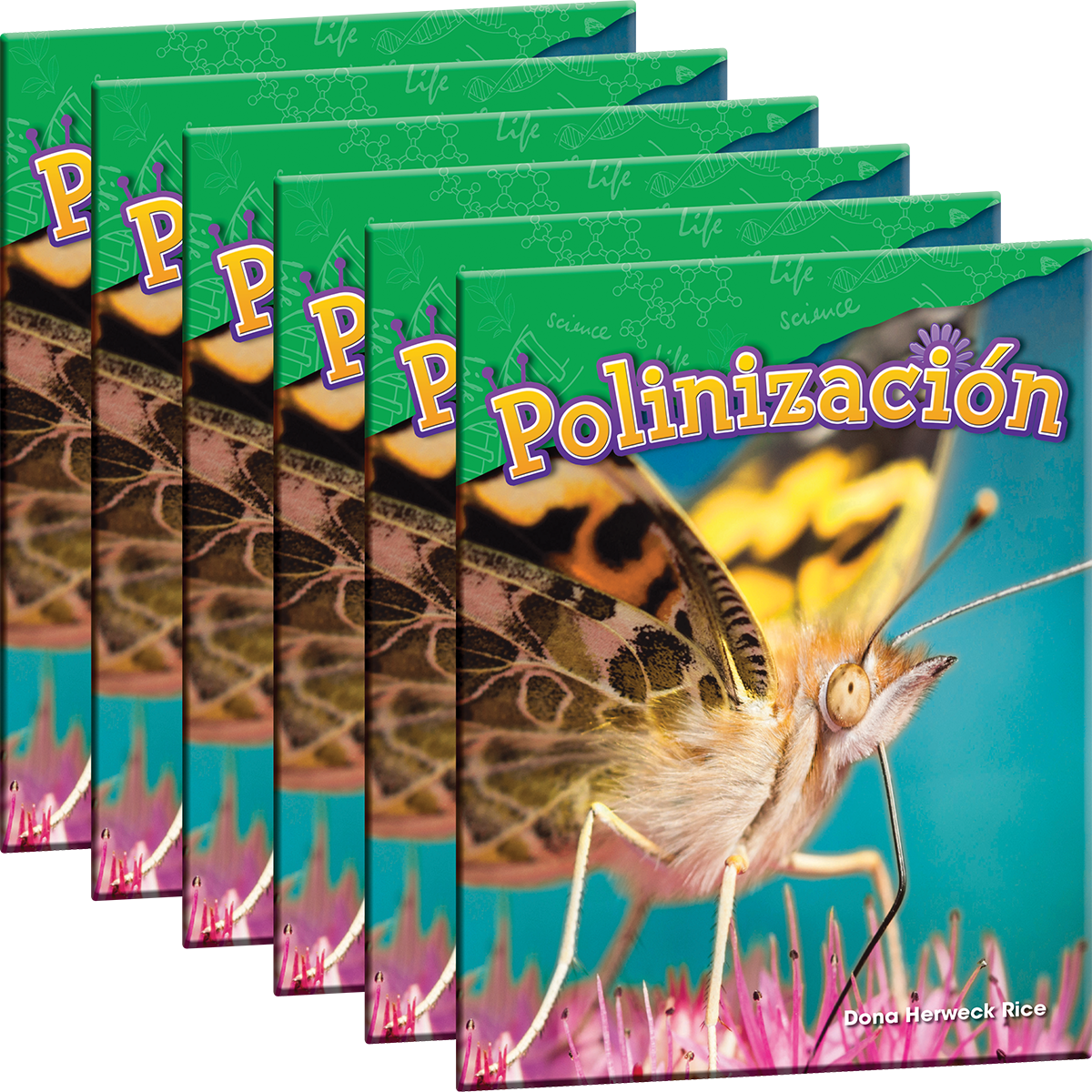 Polinización 6-Pack