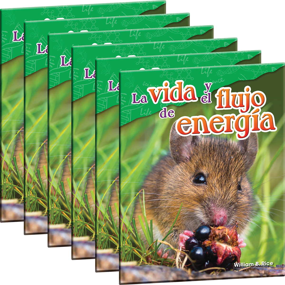 La vida y el flujo de energía 6-Pack