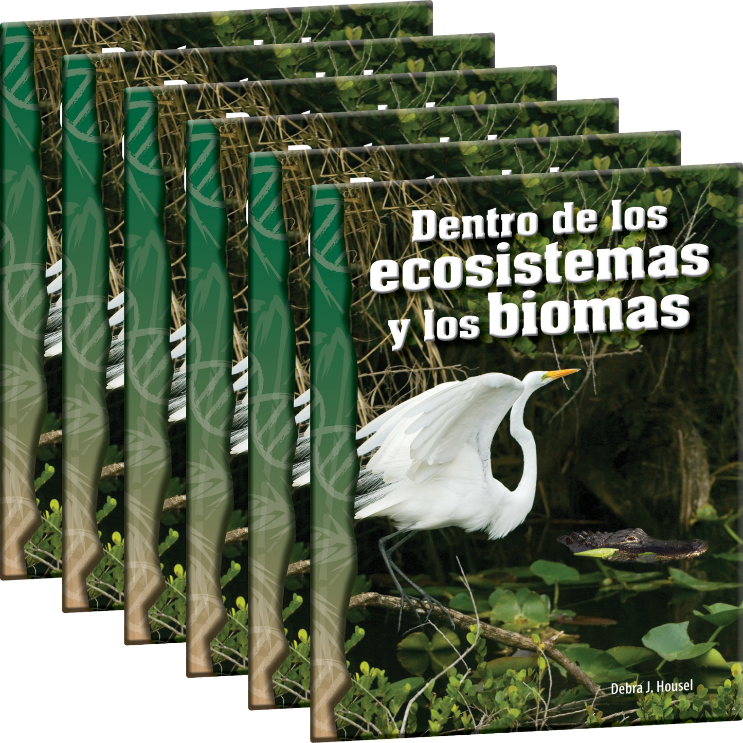 Dentro de los ecosistemas y los biomas 6-Pack