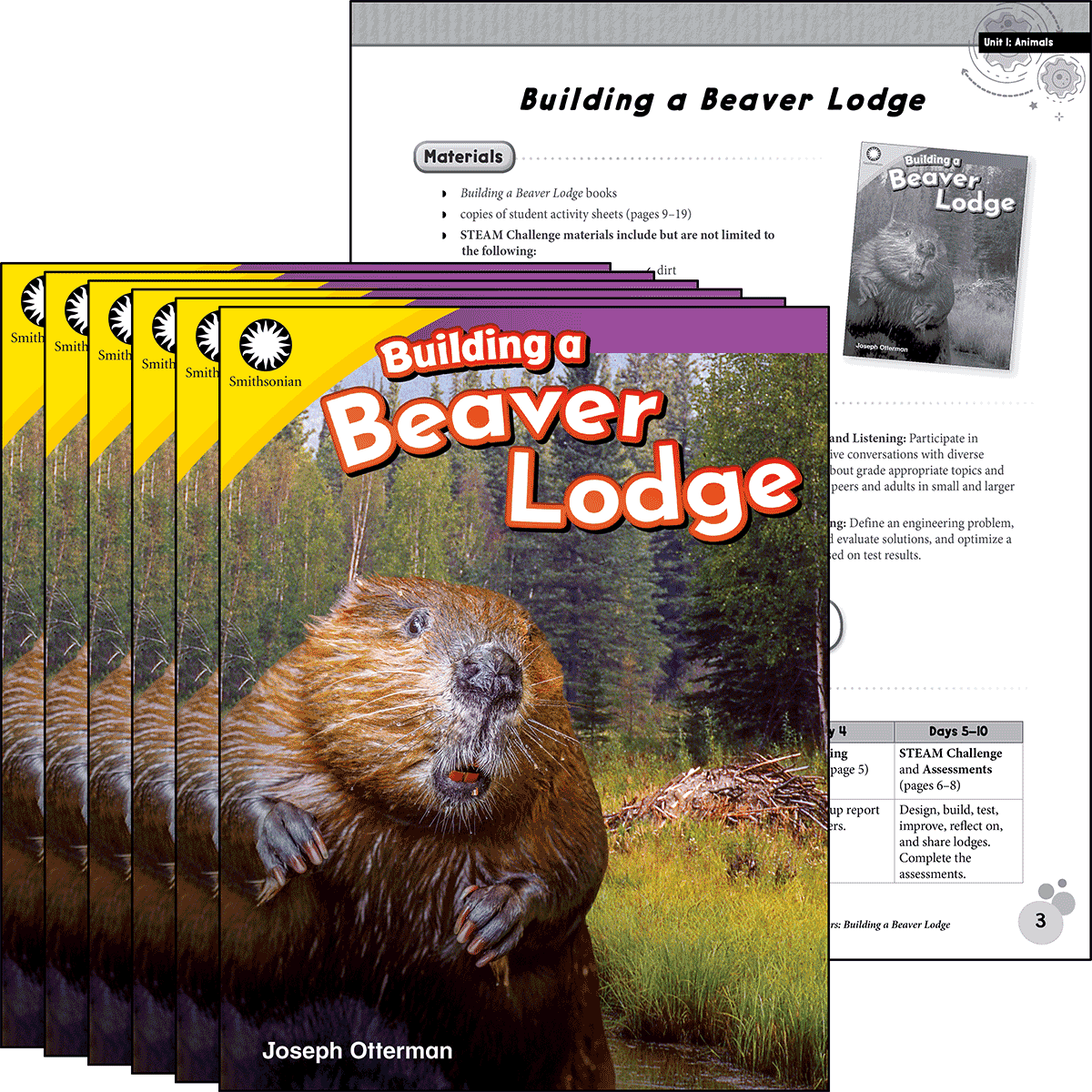 Building a Beaver Lodge 6-Pack