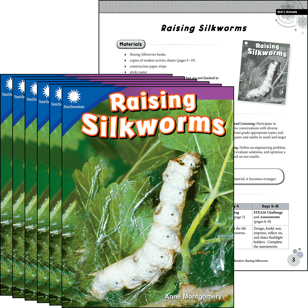 Raising Silkworms 6-Pack