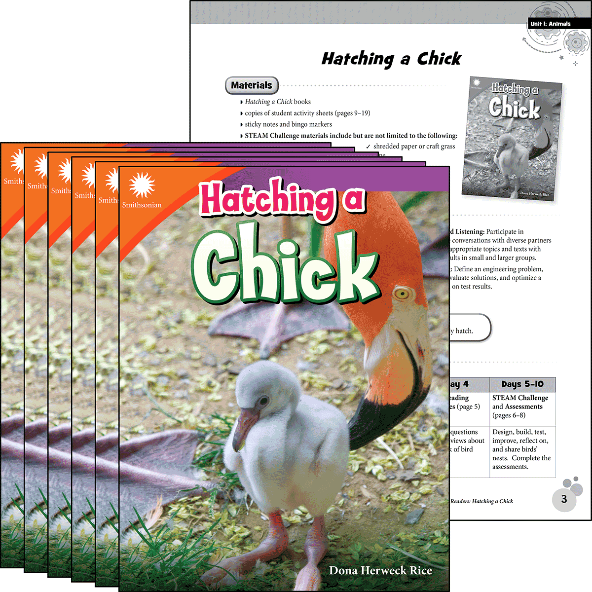 Hatching a Chick 6-Pack