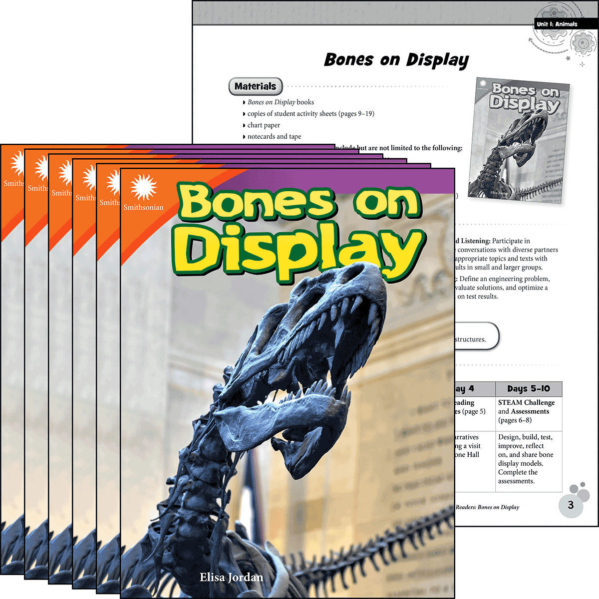 Bones on Display 6-Pack