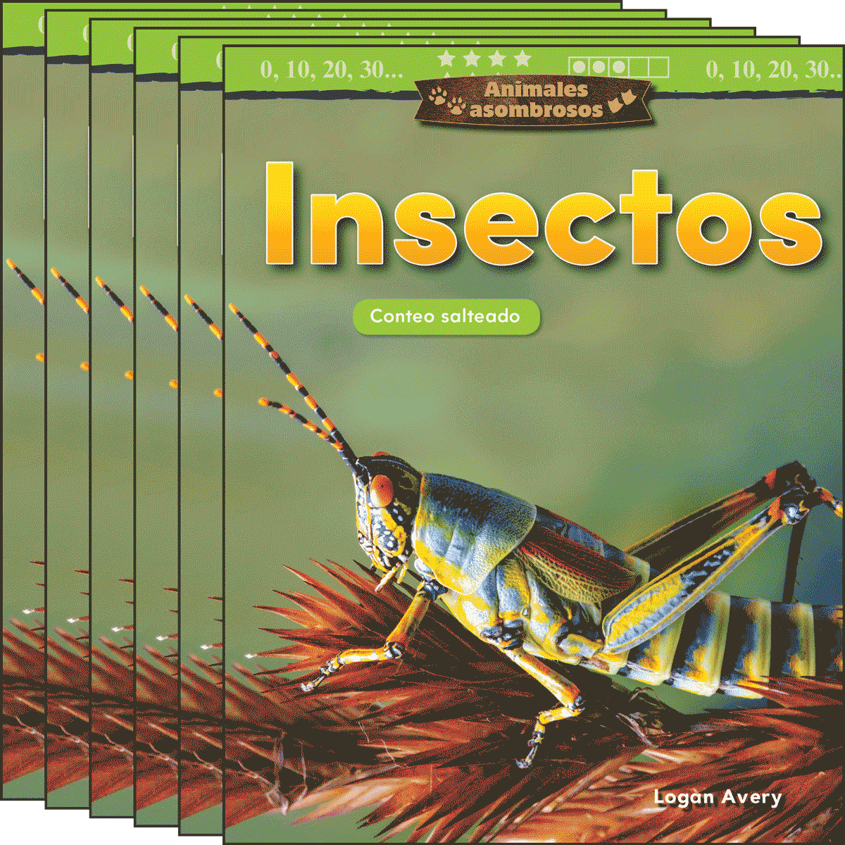 Animales asombrosos: Insectos: Conteo salteado 6-Pack