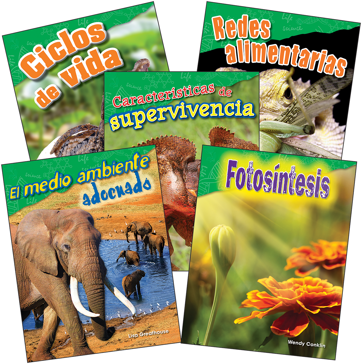 Life Science Grade 3 Spanish: 5-Book Set