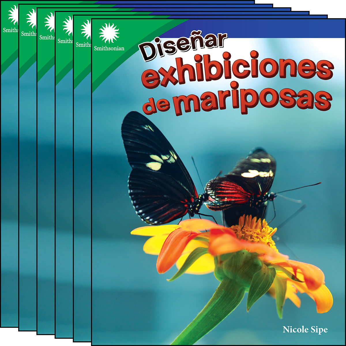 Diseñar exhibiciones de mariposas 6-Pack