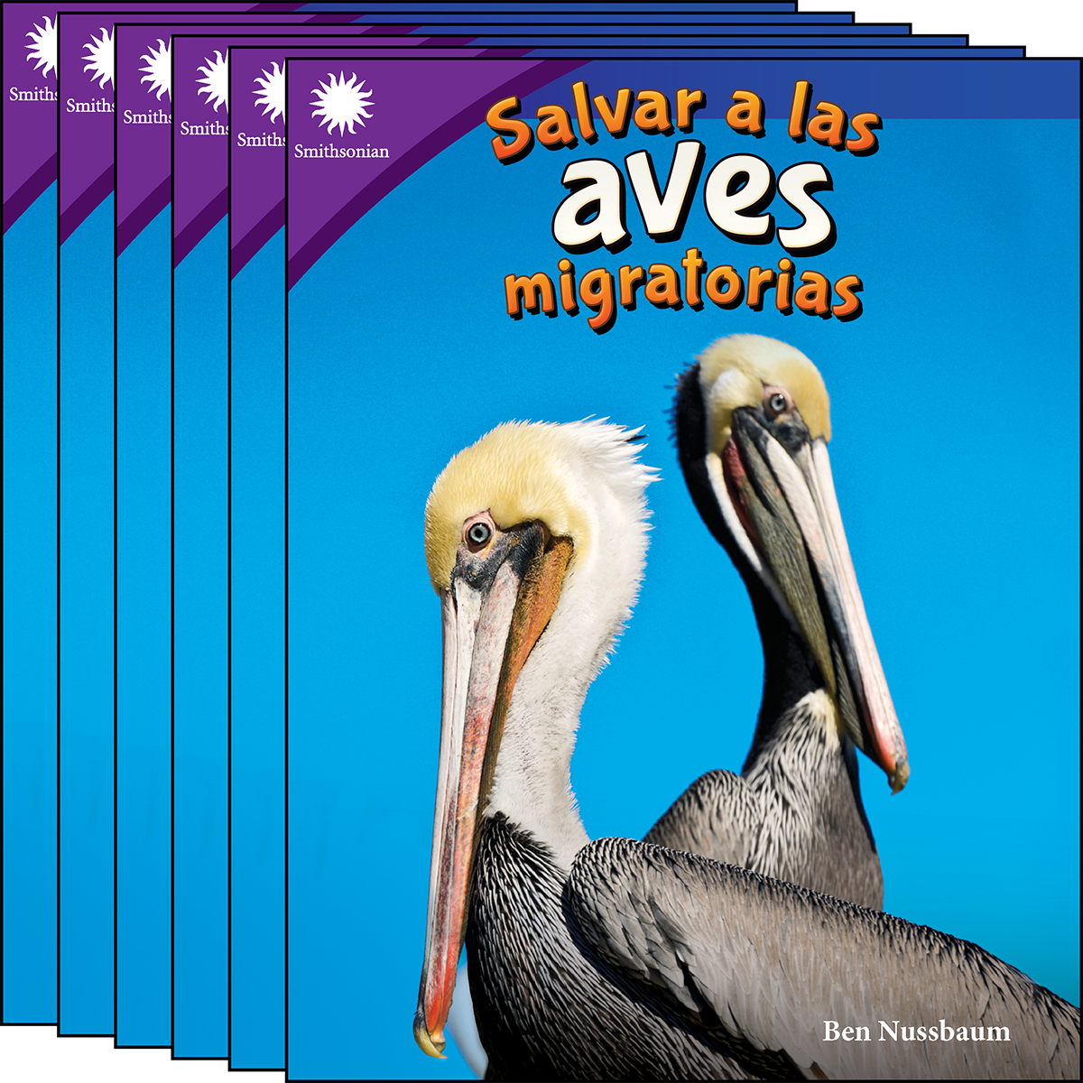 Salvar a las aves migratorias 6-Pack