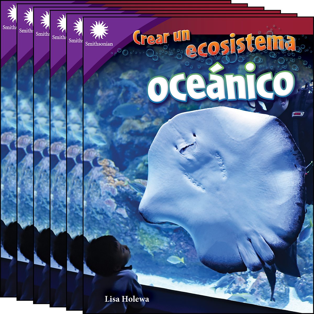 Crear un ecosistema oceánico 6-Pack