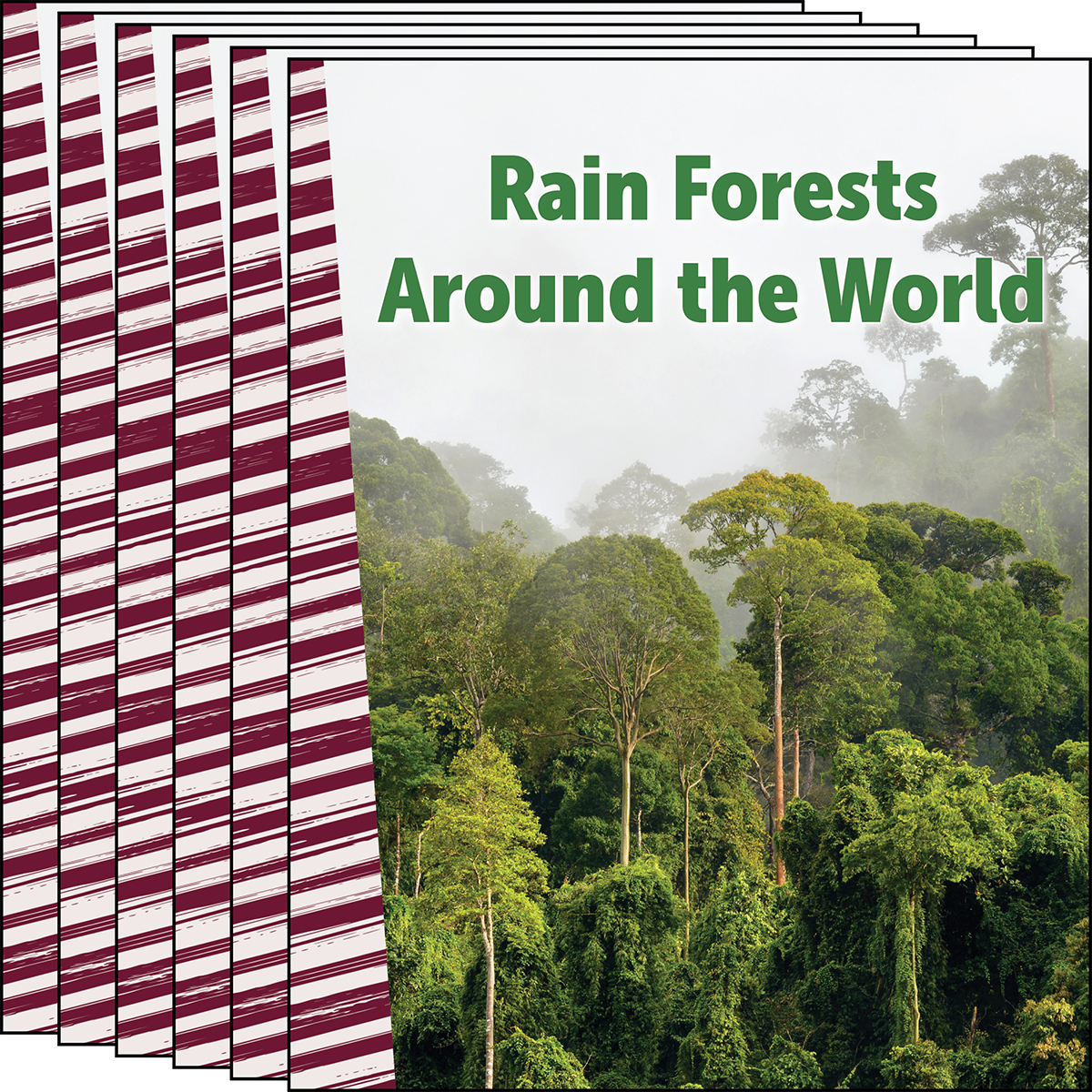 Rain Forests Around the World 6-Pack