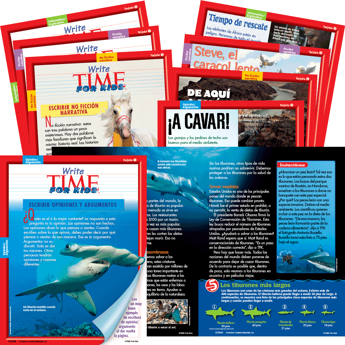 Write TIME for Kids: Mentor Text Card Set: Level 2 (Spanish Version)