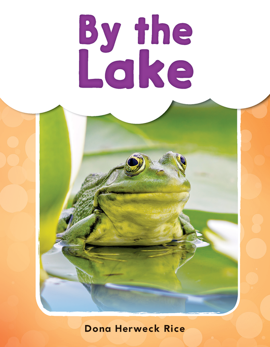 By the Lake ebook