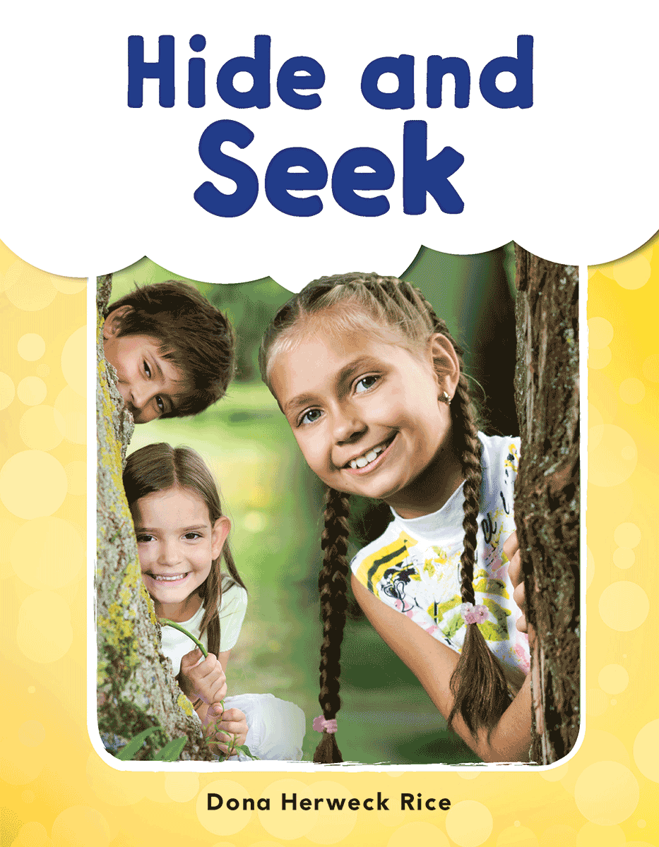 Hide and Seek ebook