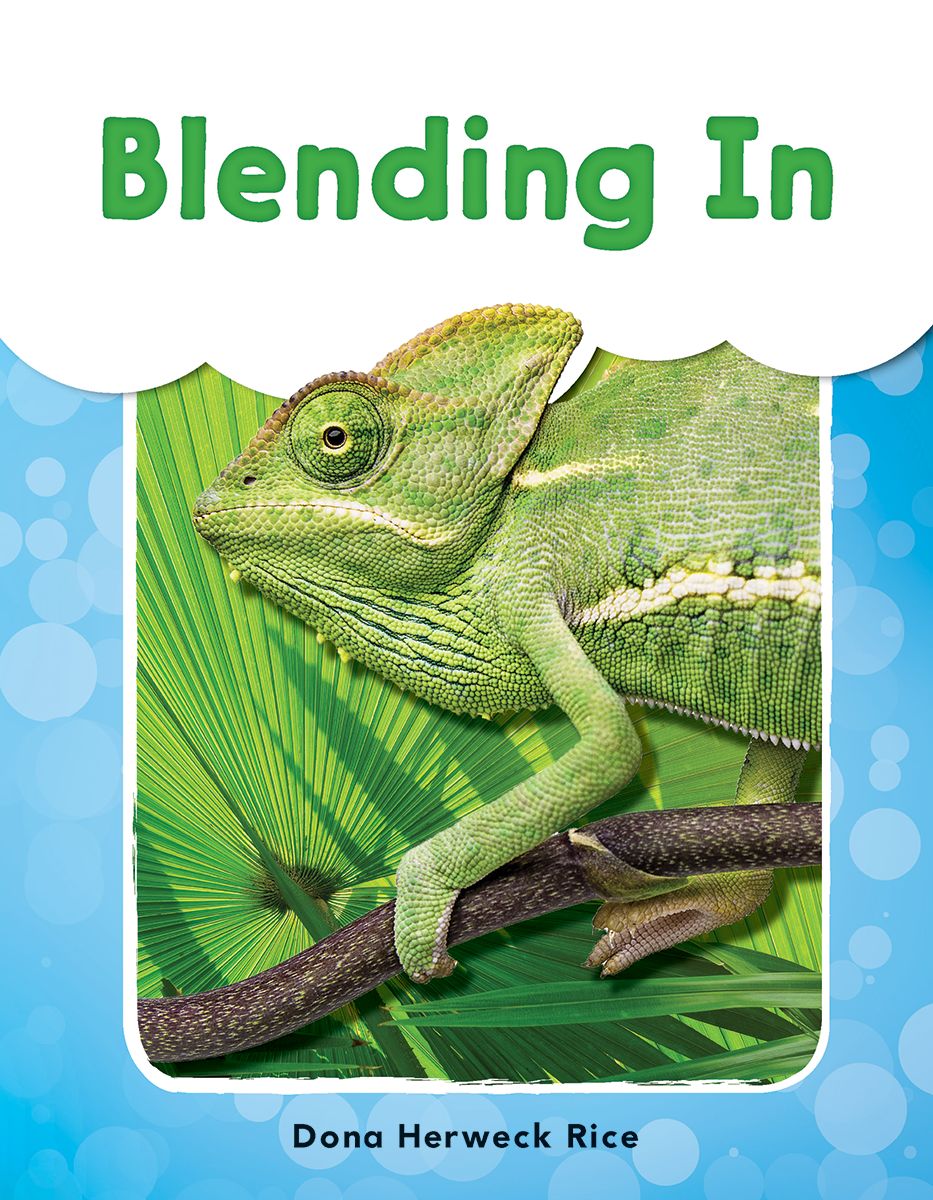 Blending In ebook