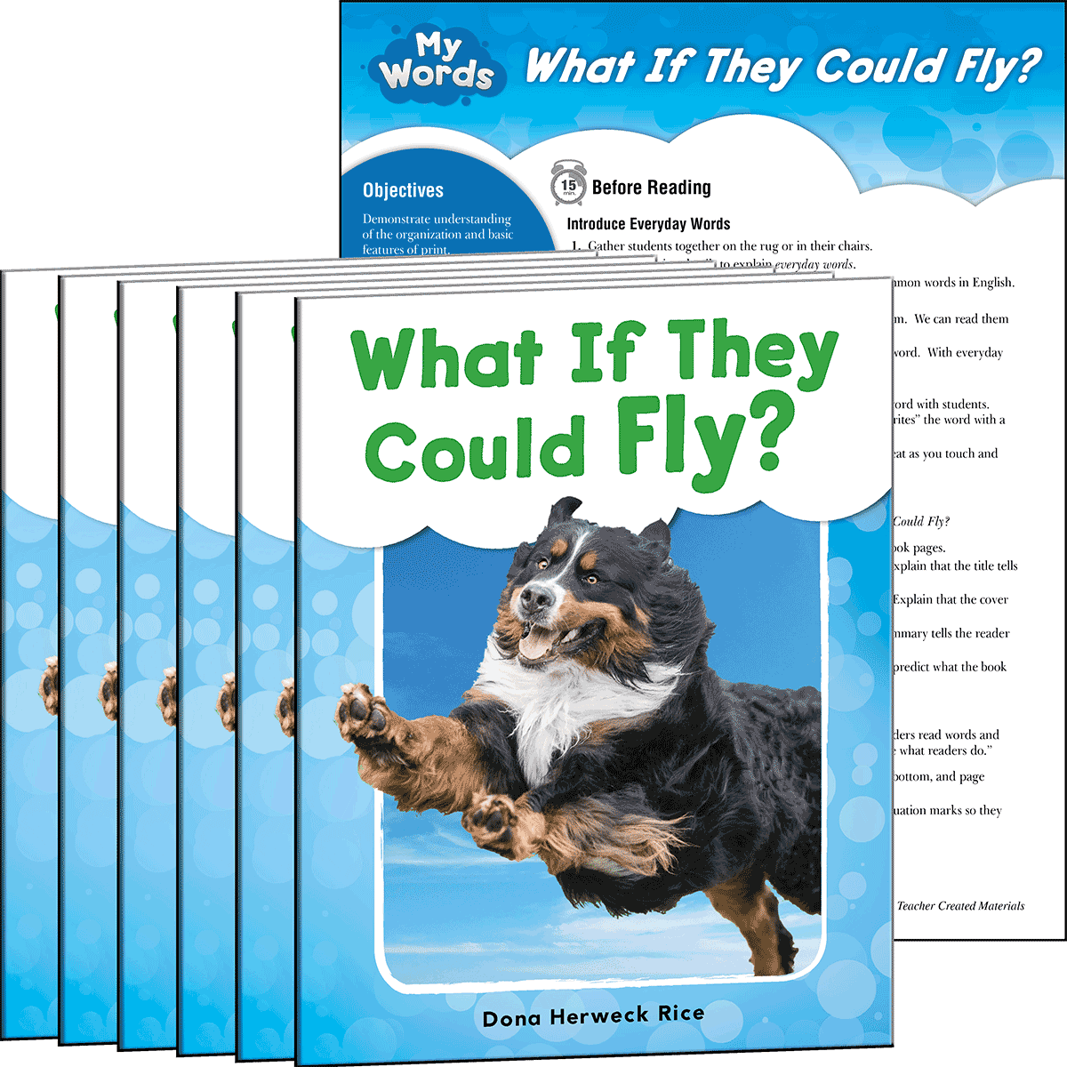 What If They Could Fly? 6-Pack