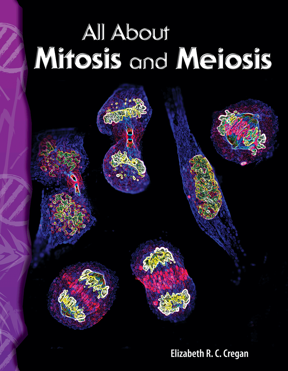 All About Mitosis and Meiosis