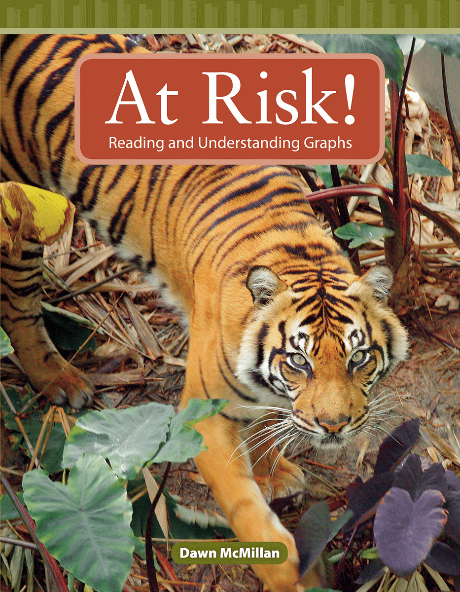 At Risk! ebook