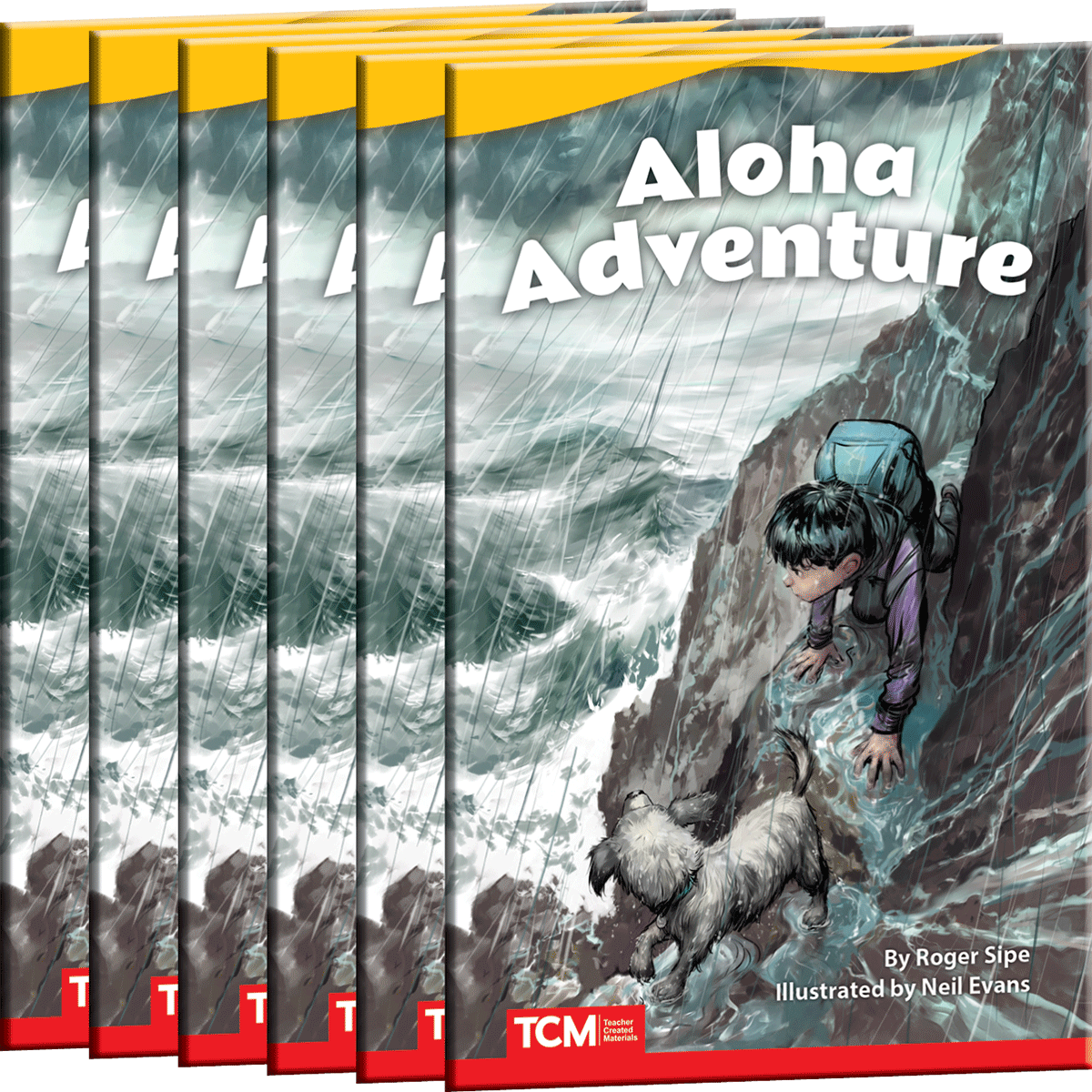 Aloha Adventure 6-Pack